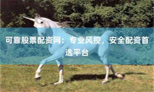 可靠股票配资网:专业风控,安全配资首选平台